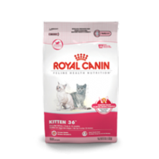 ROYAL CANIN Growth Kitten 36 4 kg